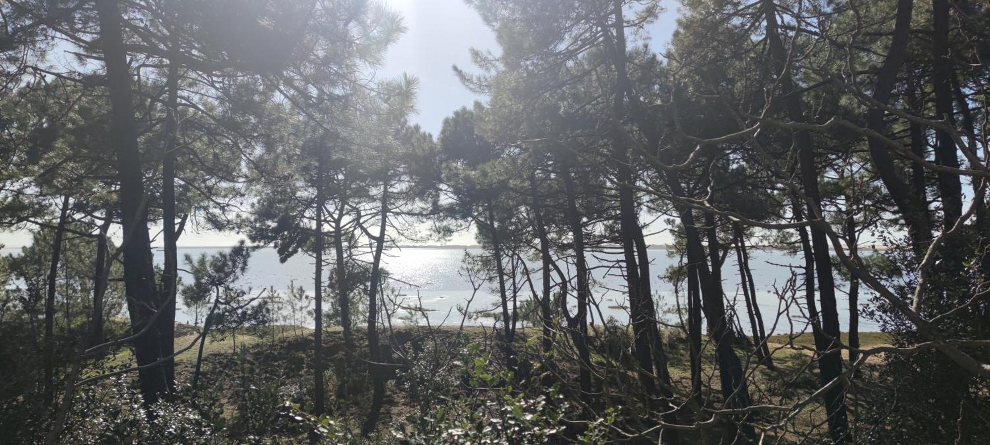 Mobil-Home - Camping Siblu Bonne Anse Plage Les Mathes Esterno foto